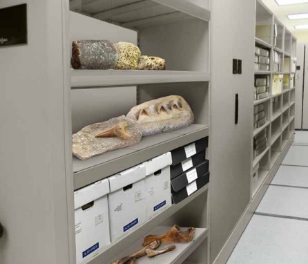 Museum Storage | Specialty Storage | ISDA Network